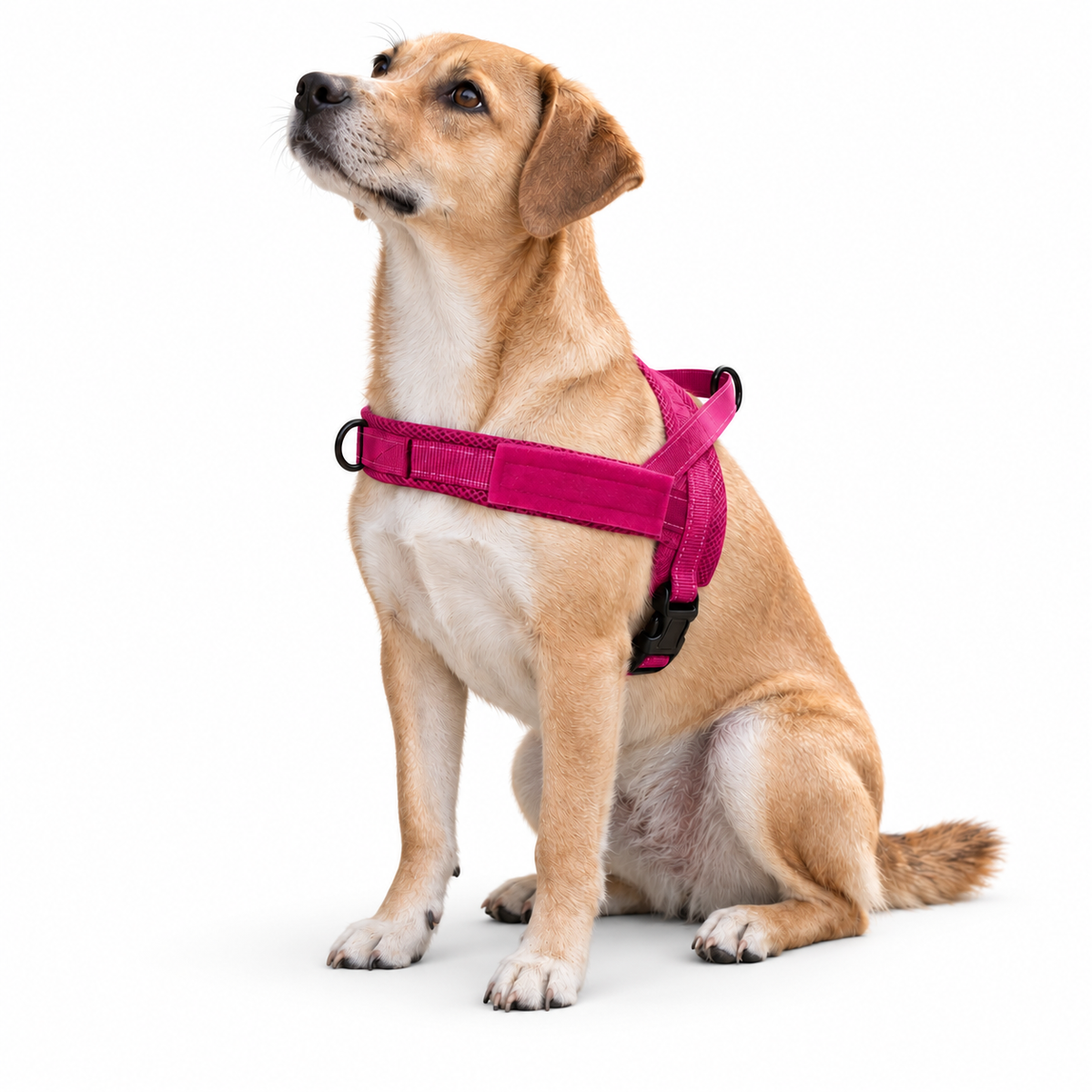 Fjällro – Anti-drag sele