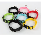 LED-halsband i sex färger, släckta, med snabbspänne och D-ring