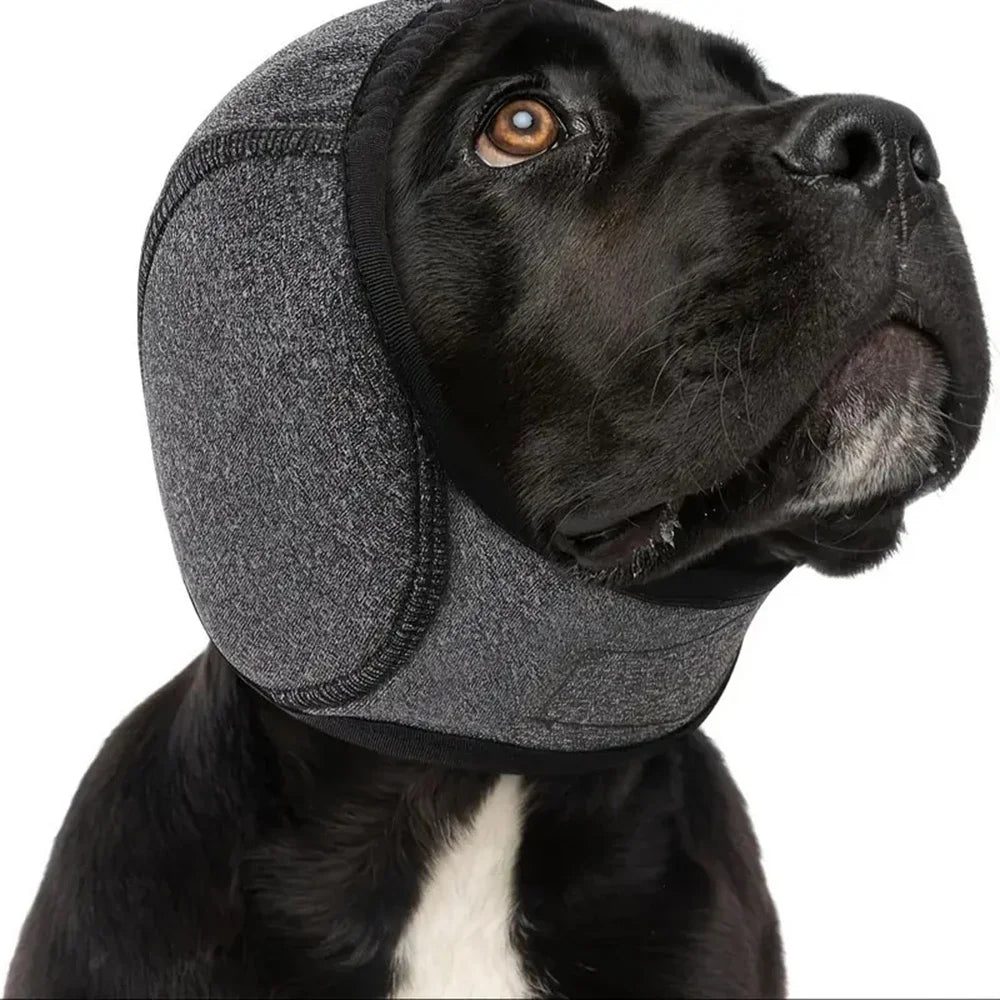 Lugne ljuddämpande huva för hund