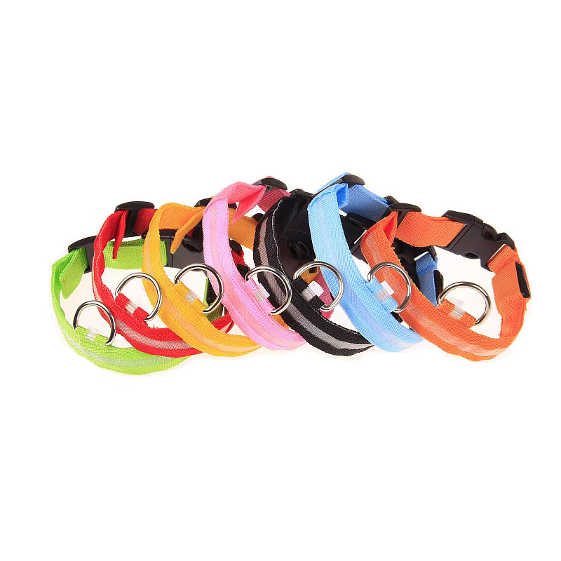 LED-halsband i rött, grönt, orange, rosa, blått och svart band med vitt ljus