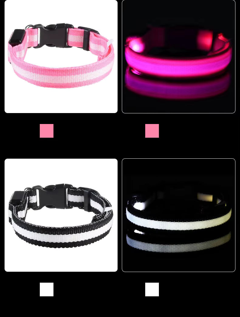 LED-halsband i rosa och svart, tända och släckta