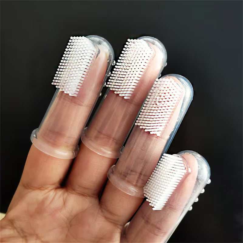 Fingertandborstar, 6-pack